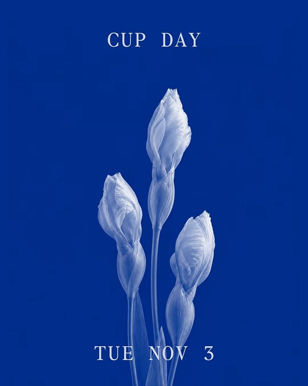 Join us for the Melbourne Cup at Olympus.