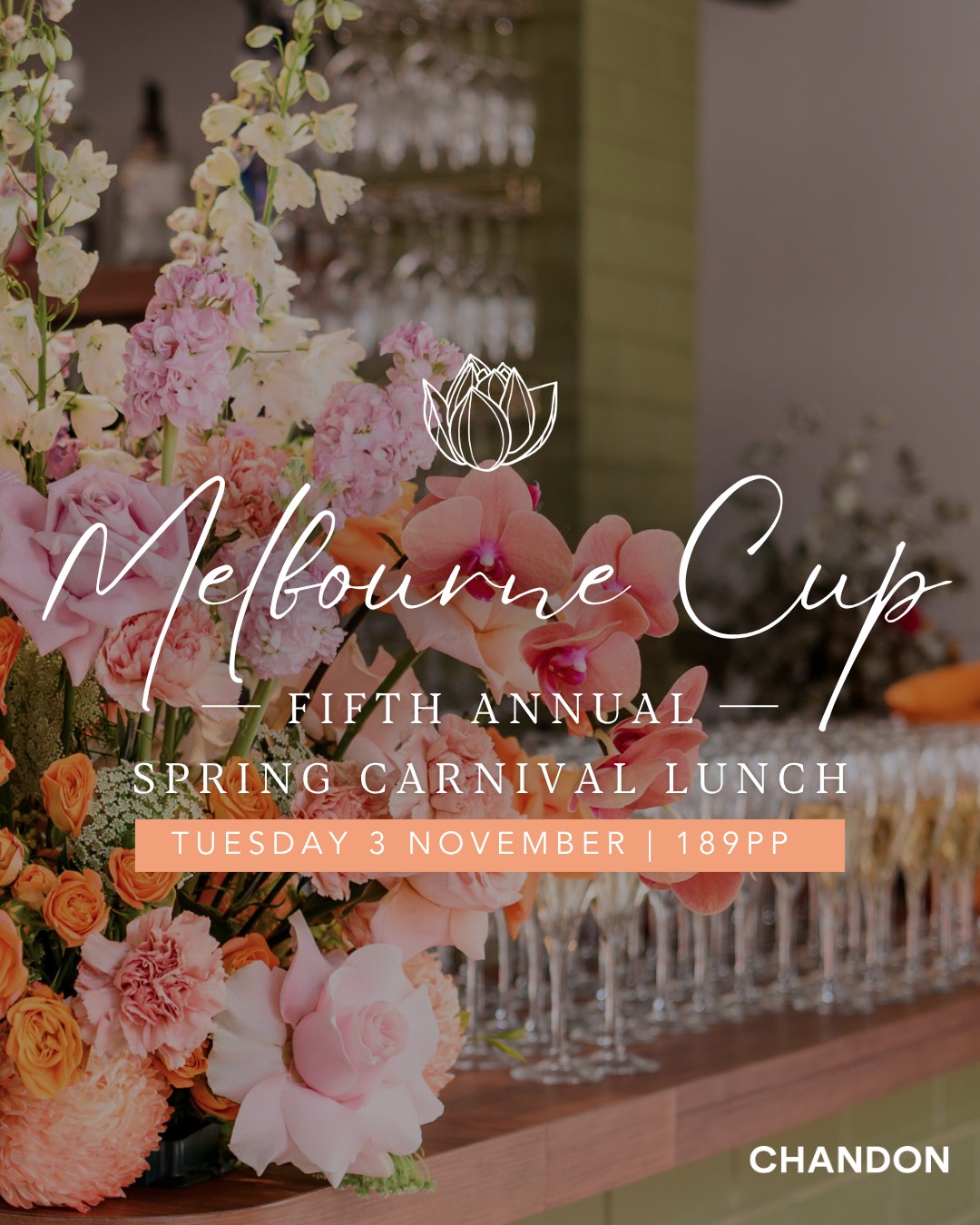 MELBOURNE CUP AT LOTUS