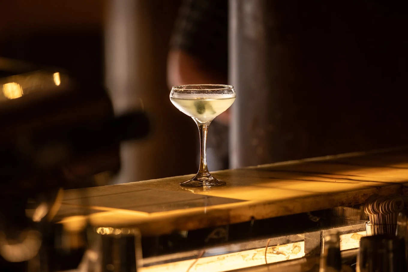 Dogs Bar