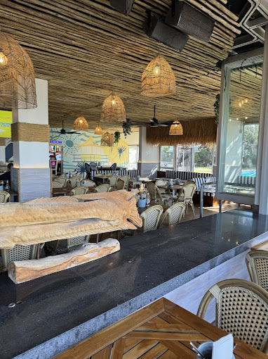 Sandbar Surfers Paradise