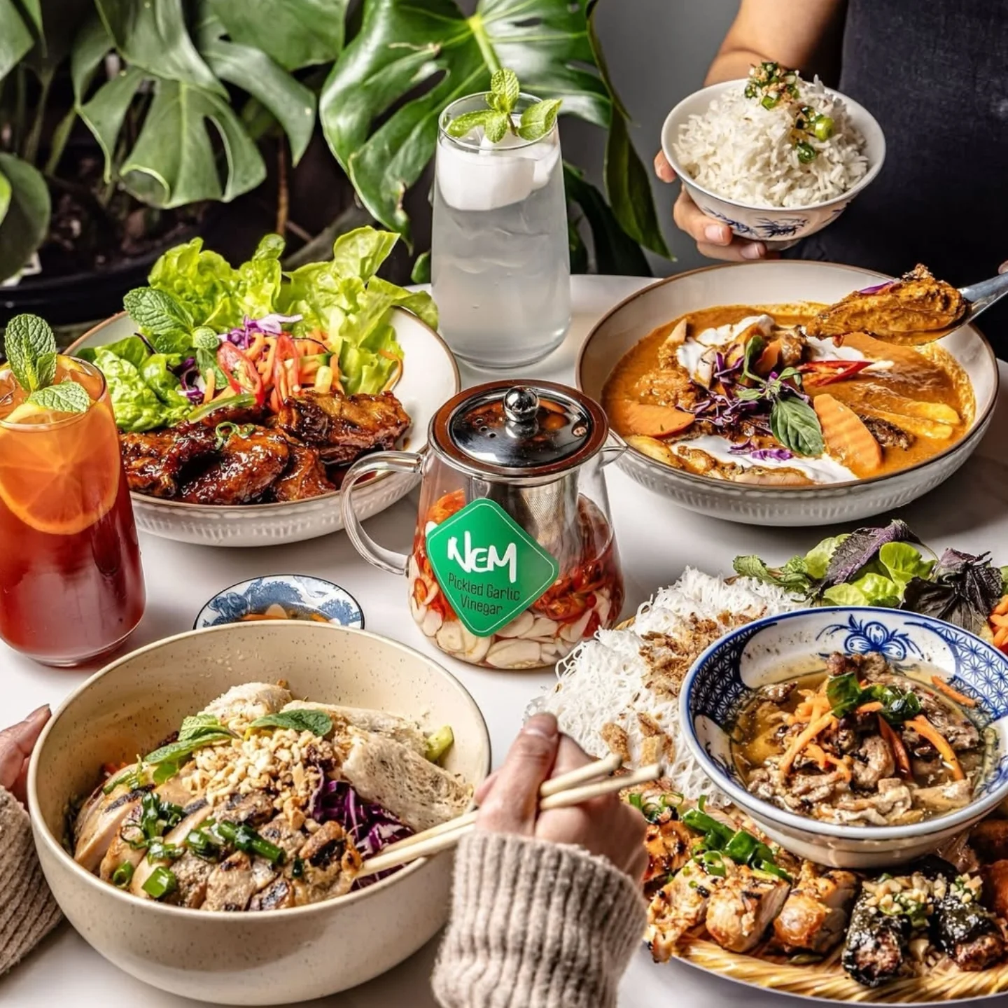 Nem Viet Mascot