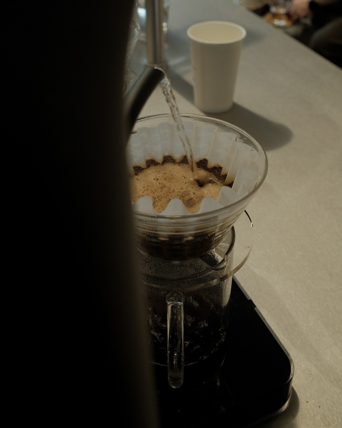 Catalogue Coffee