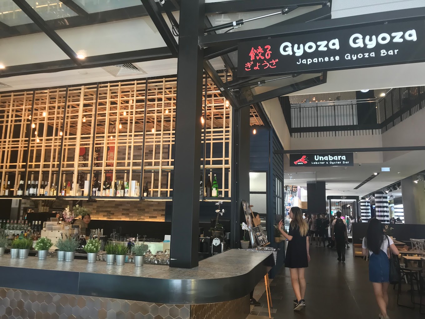 Gyoza Gyoza