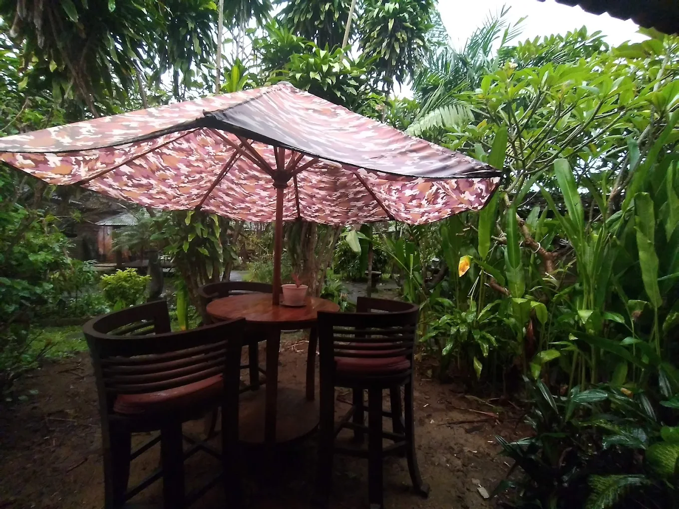 Hidden Garden Bar.