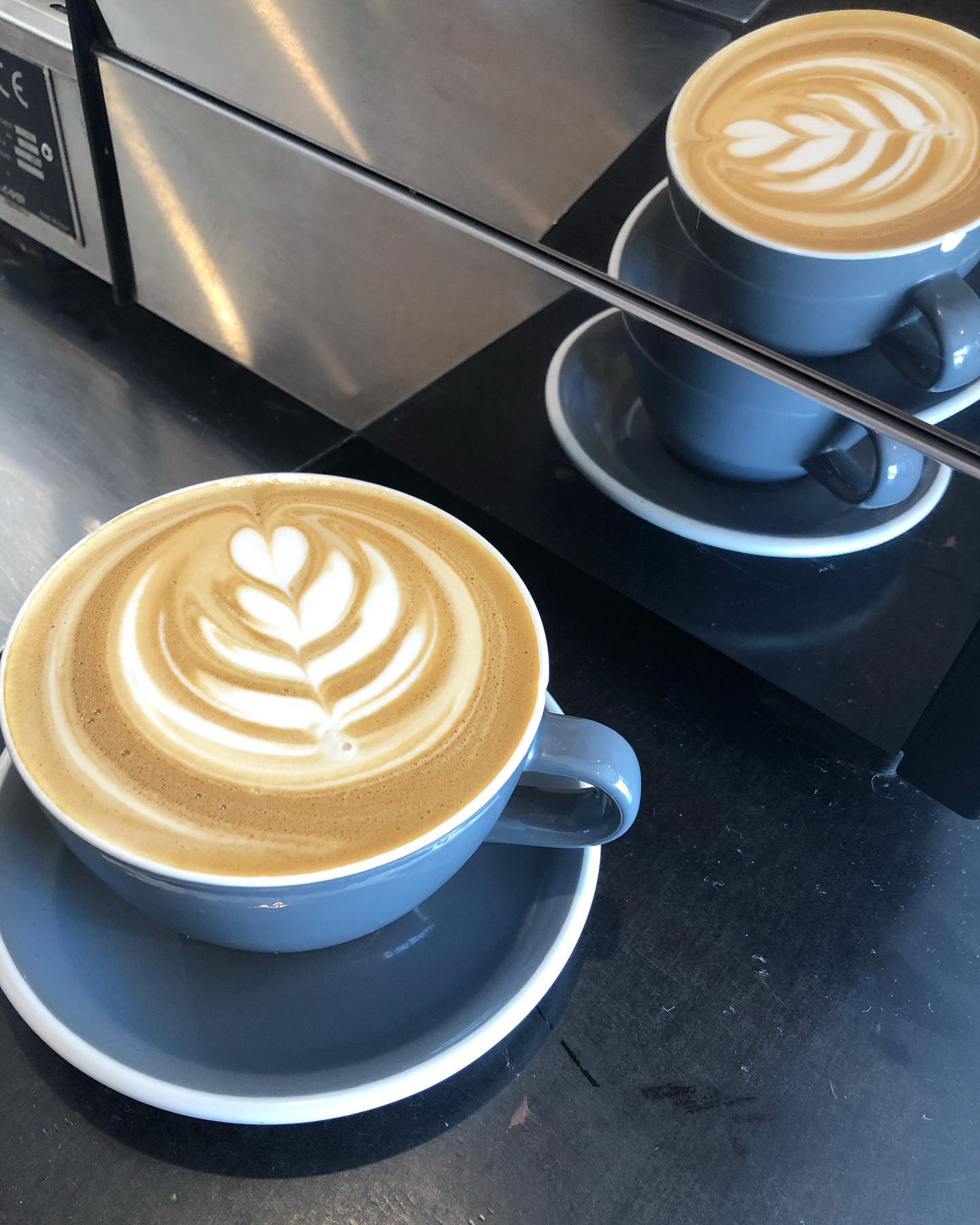 Papercup Coffee Labrador