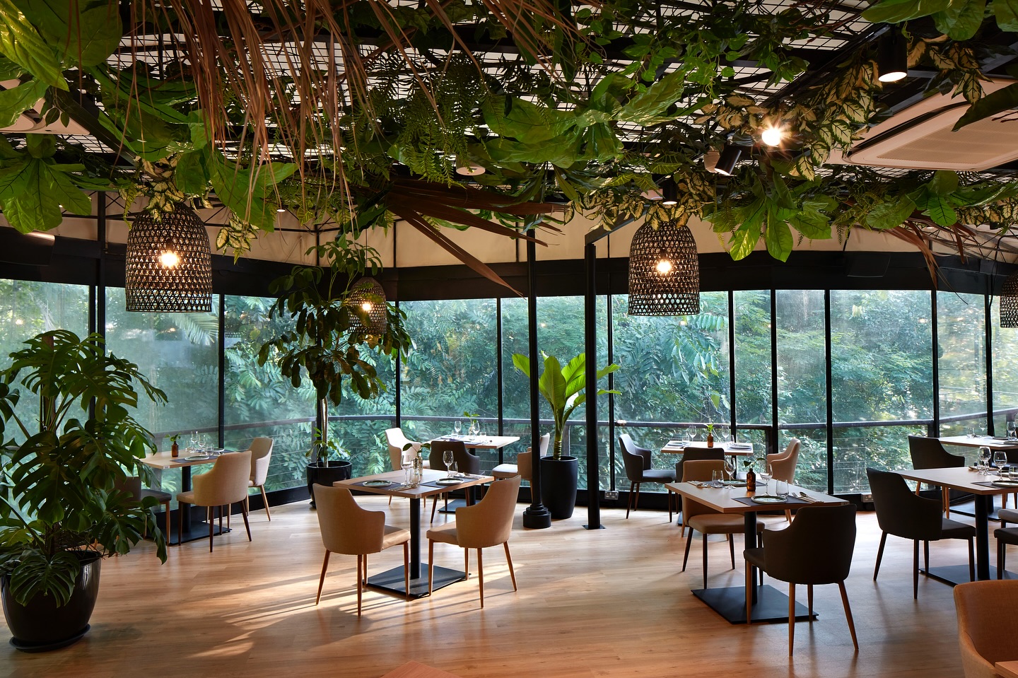 Rhea Dallow's Best of Singapore