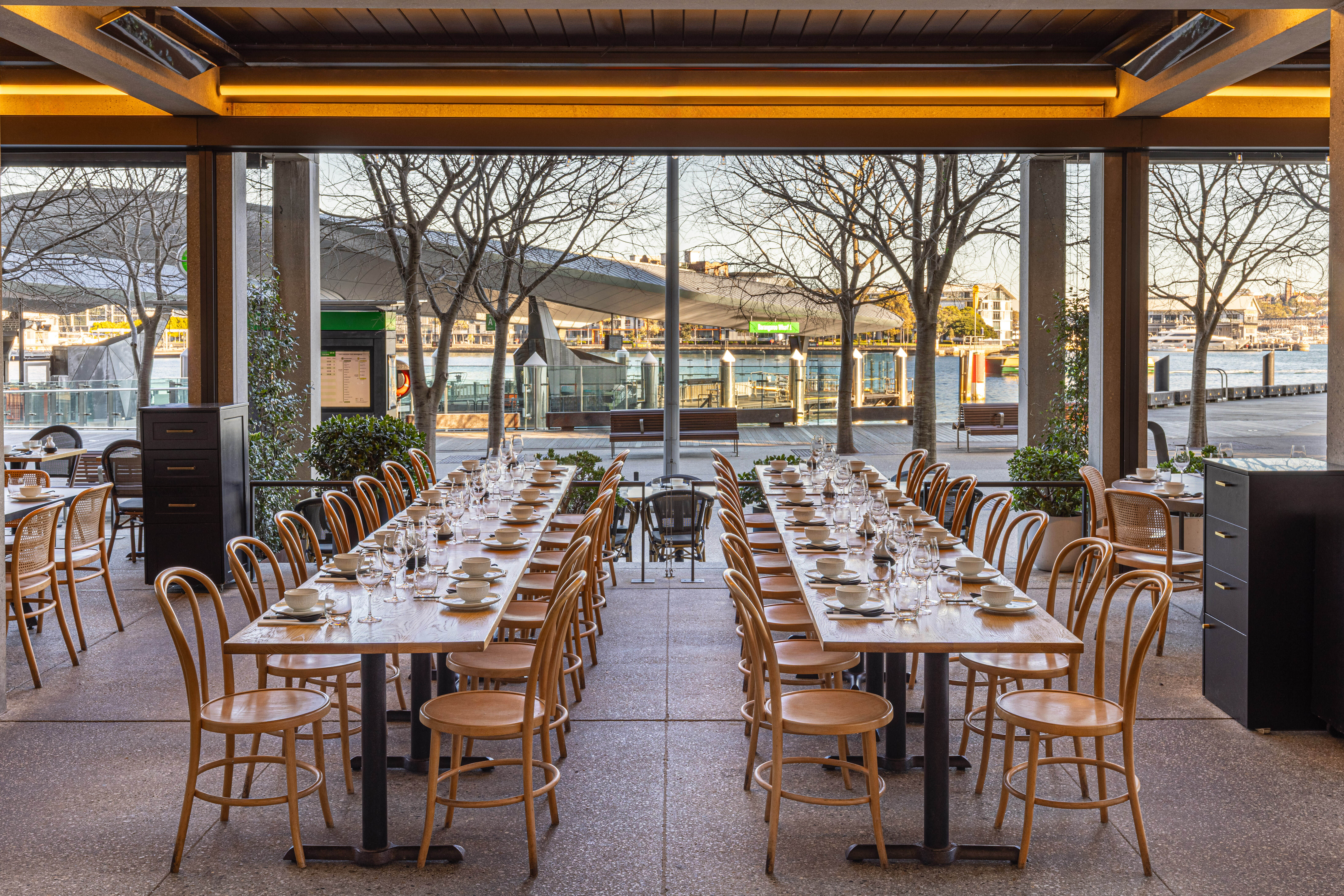 Lotus Barangaroo