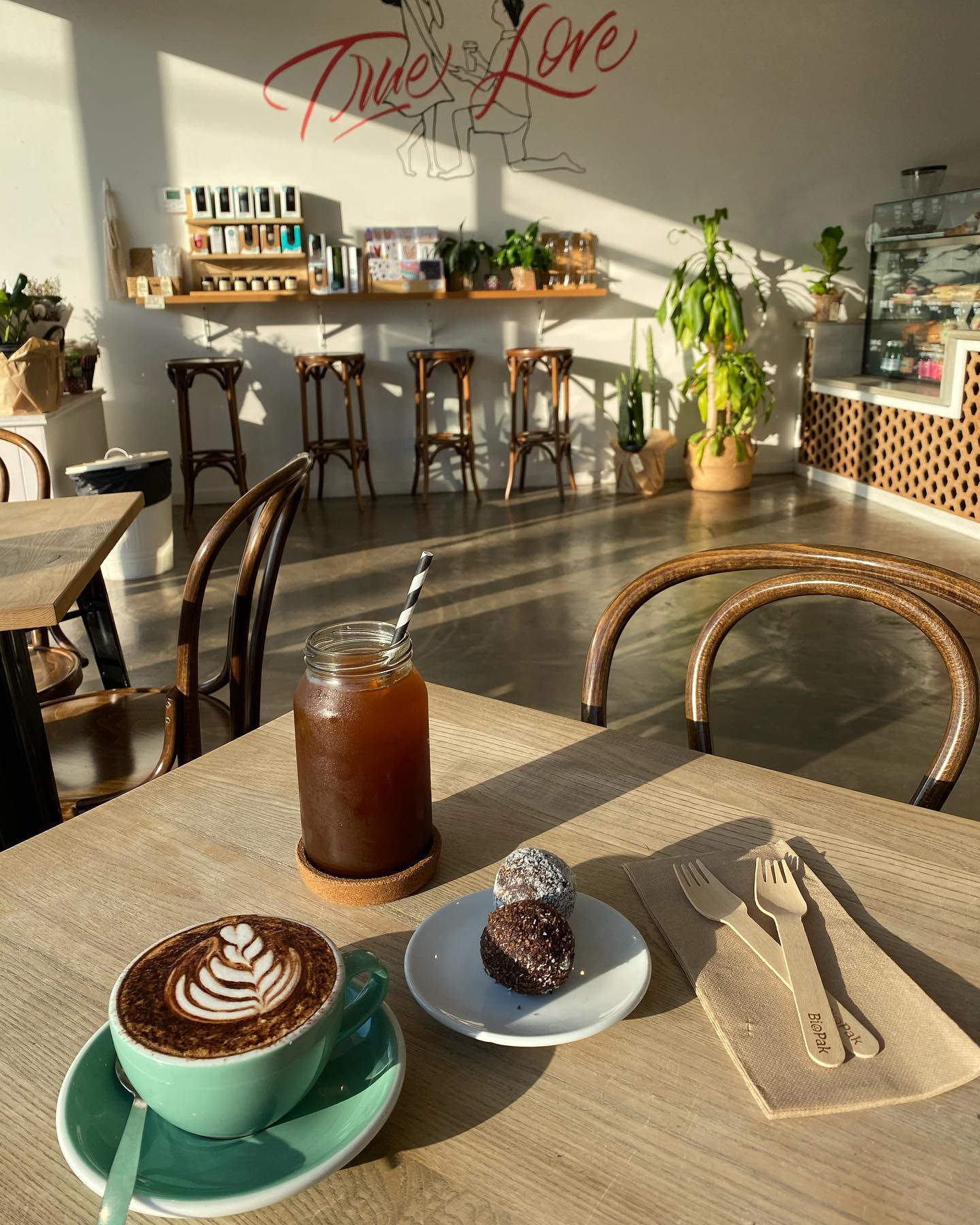 Papercup Coffee Labrador