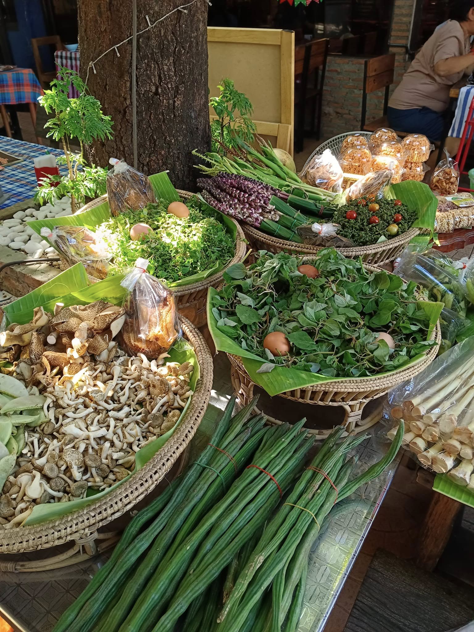 Ban Khn Meuxng (บ้านคนเมือง)