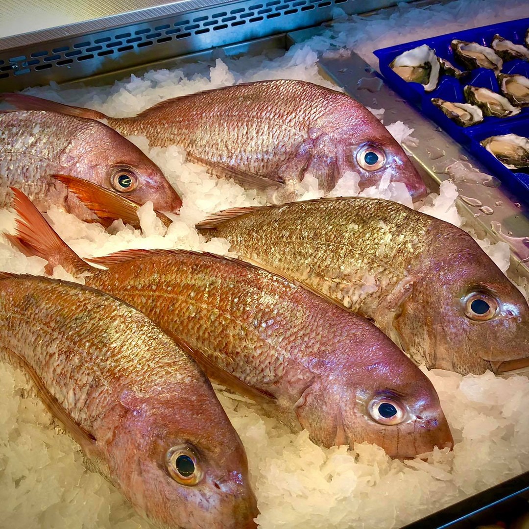 San Remo Fishermans Co-Op