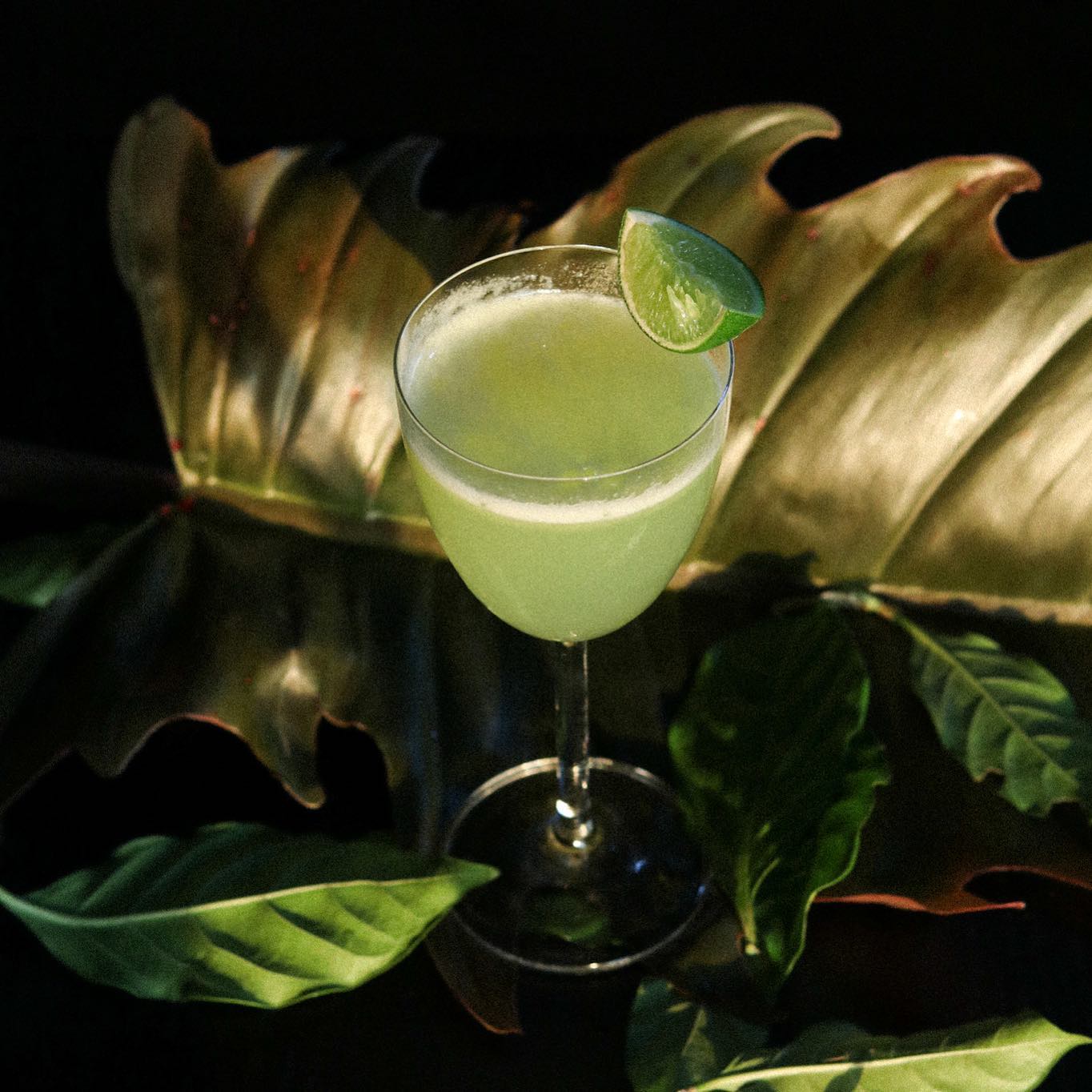 Tichuca Rooftop Bar