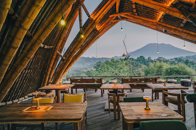 Dineora Bali