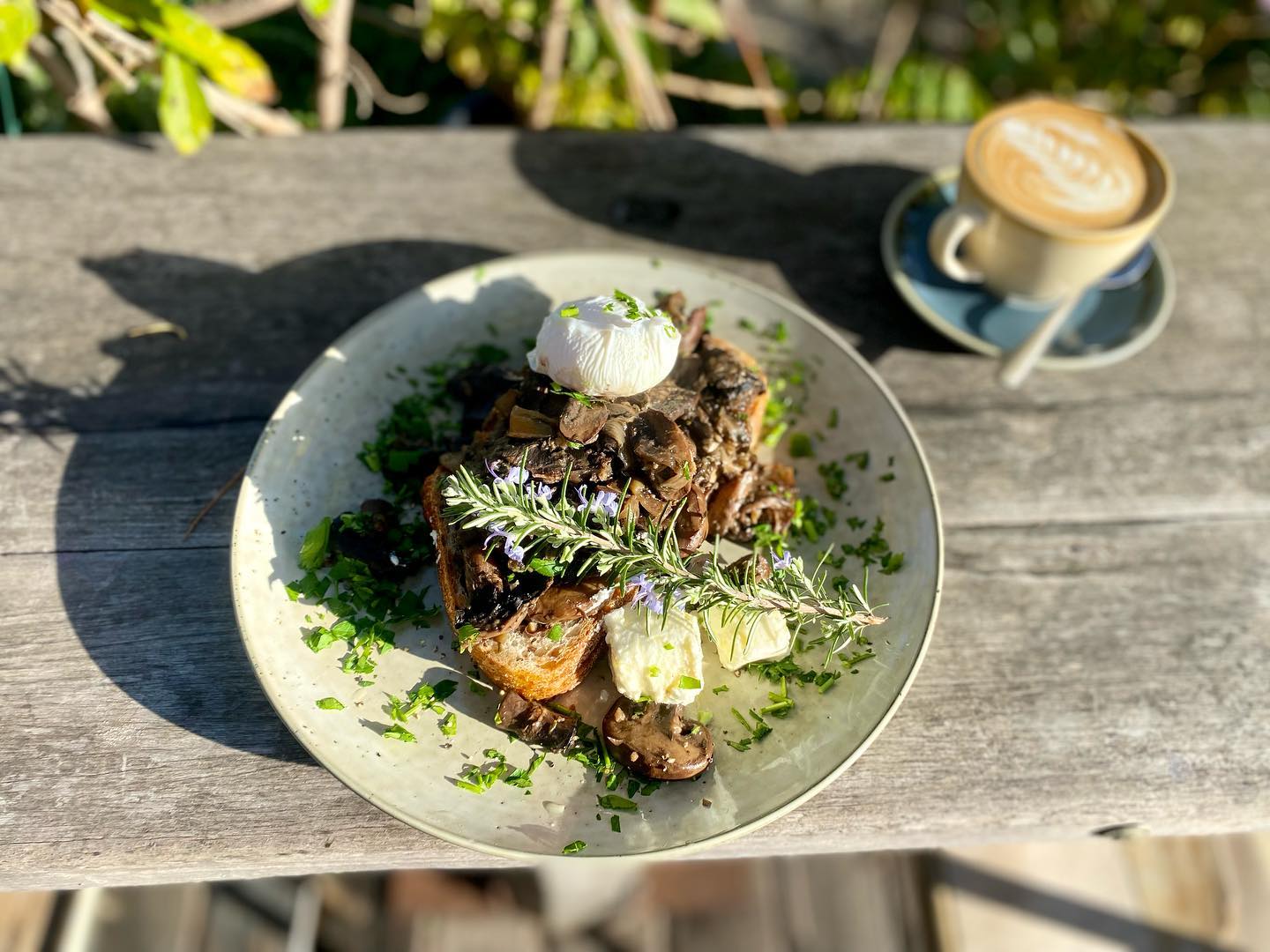 Ginger Monkey Cafe