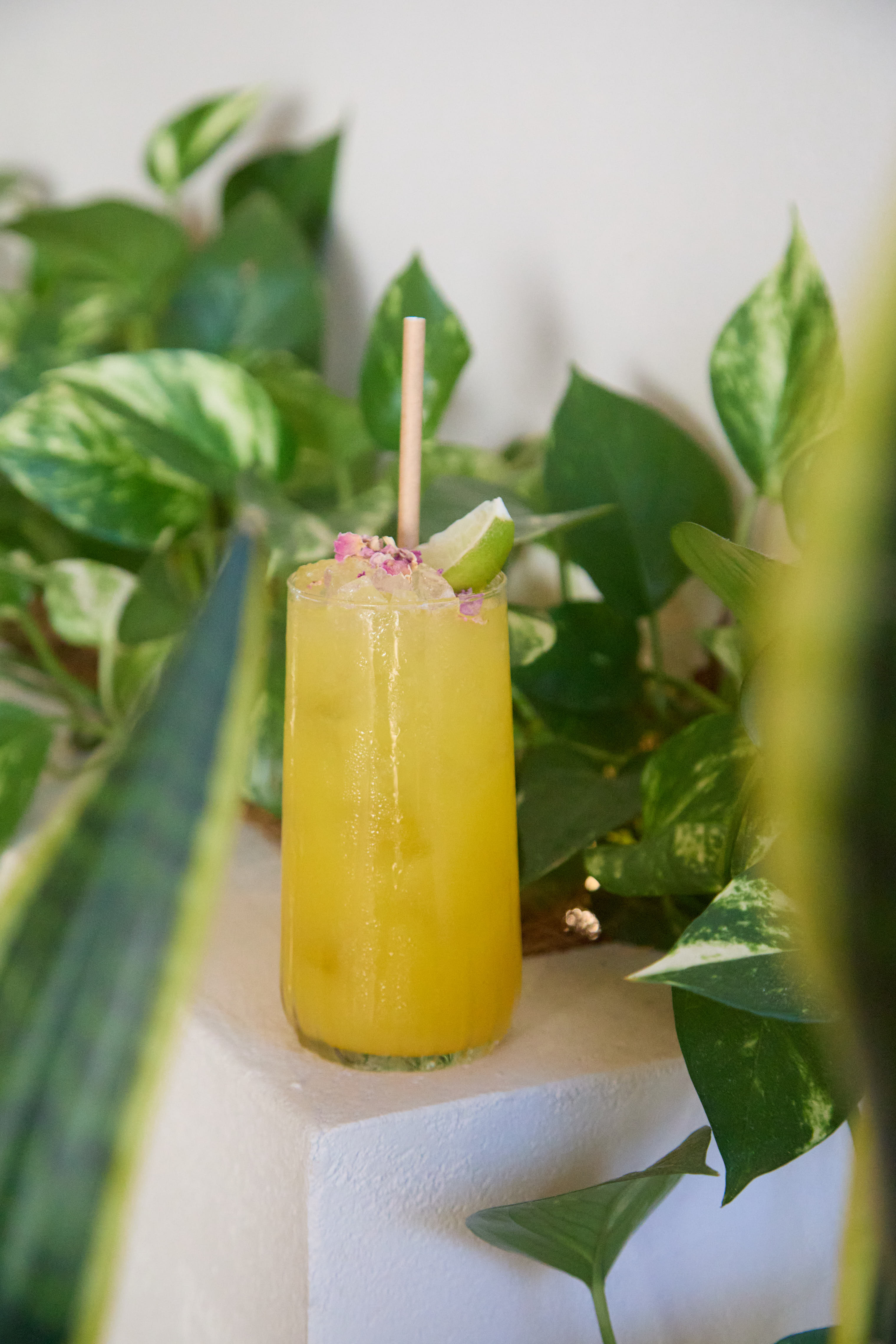 Melrose Restaurant & Rooftop Bar