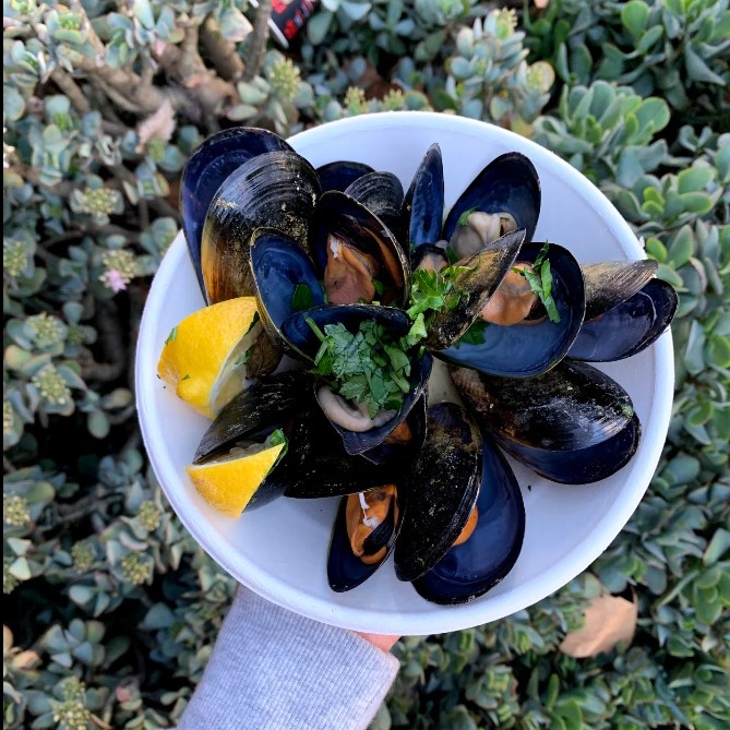 The Mussel Pot