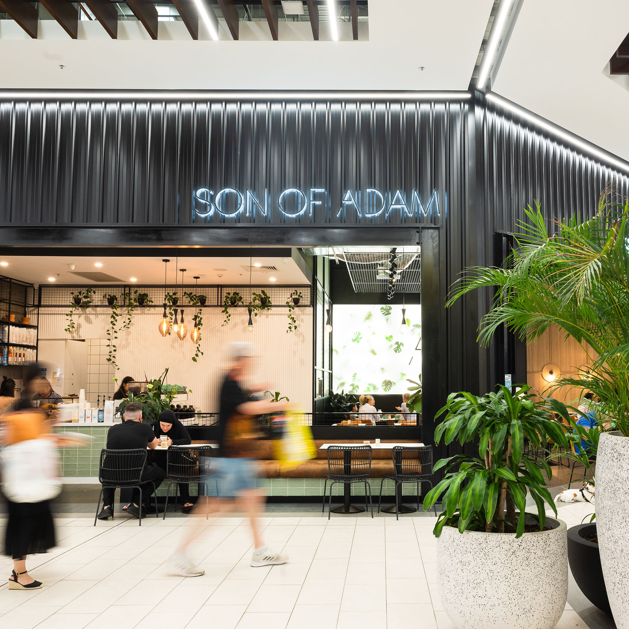 Son of Adam