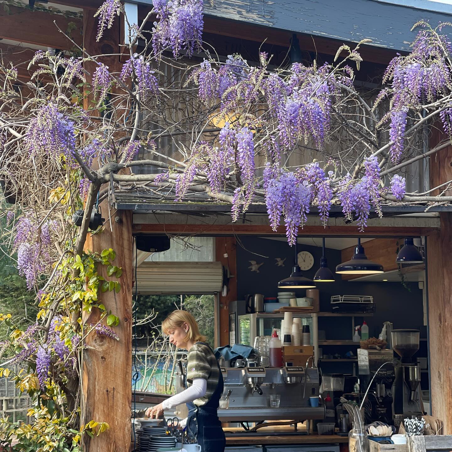 The Farm Cafe