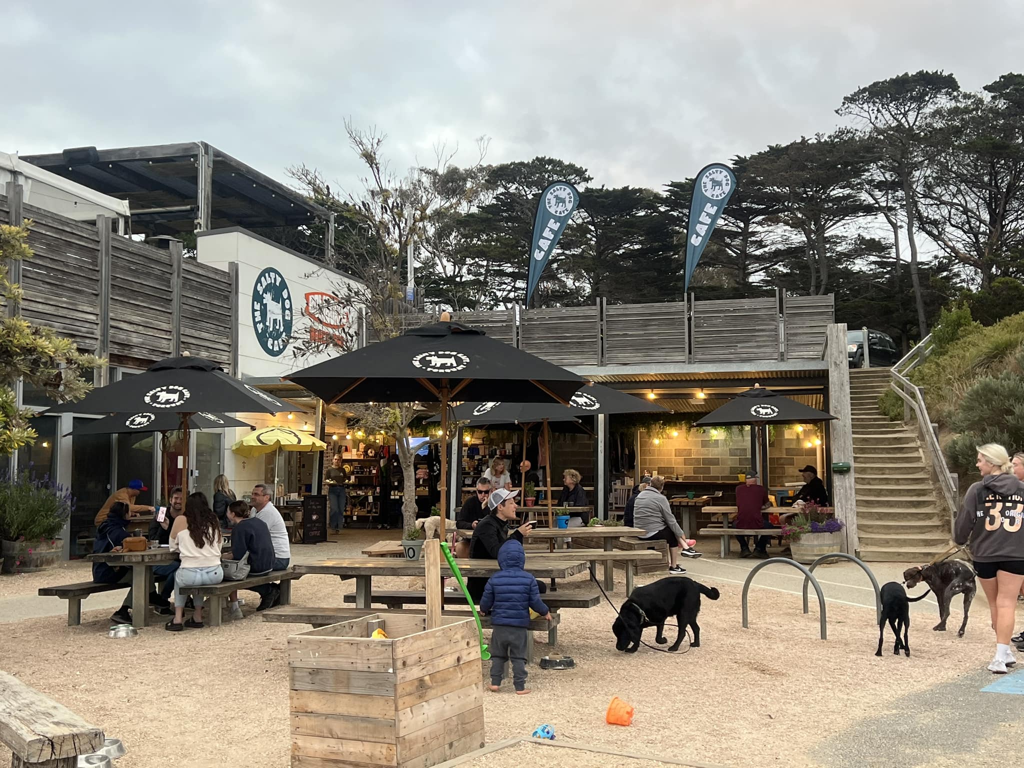 The Salty Dog Cafe