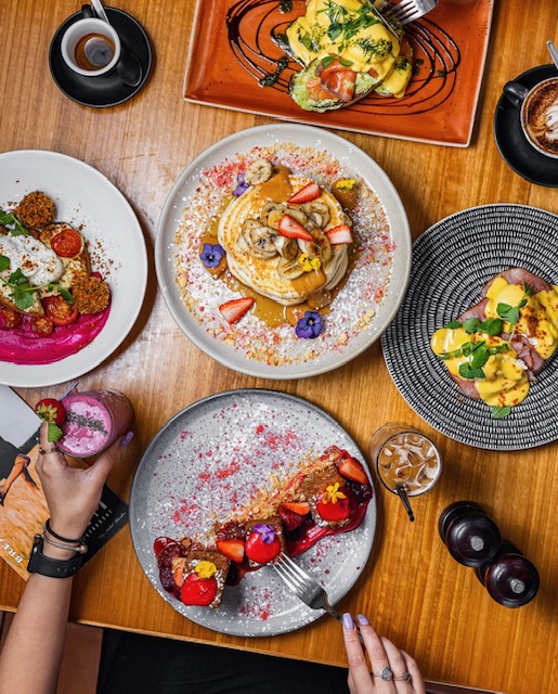 Montania Cafe - Bar - Restaurant
