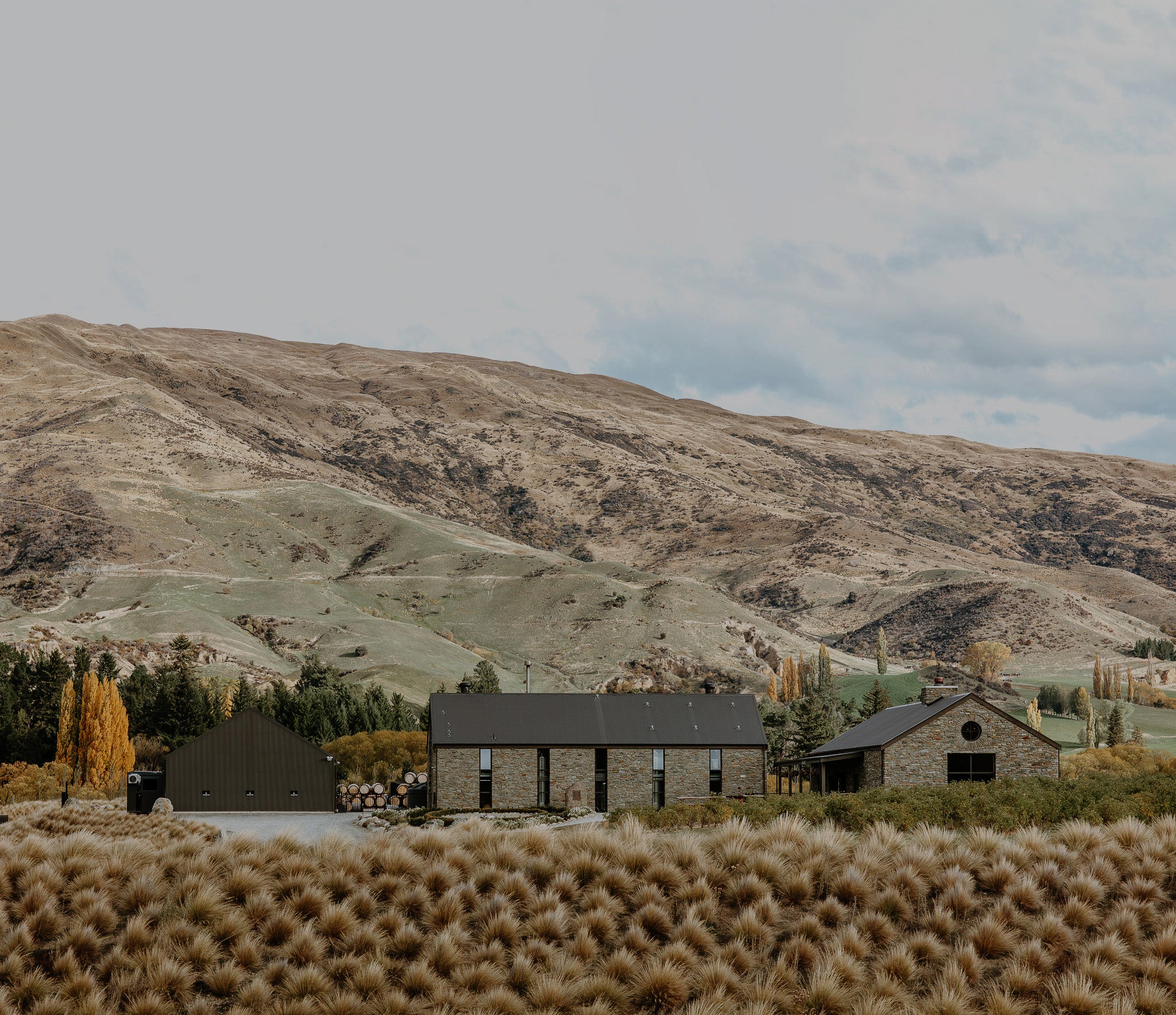 Cardrona Distillery