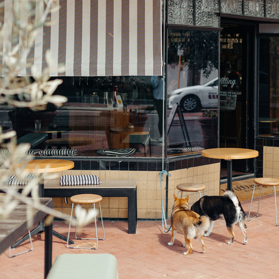 Willing Coffee Mt Lawley