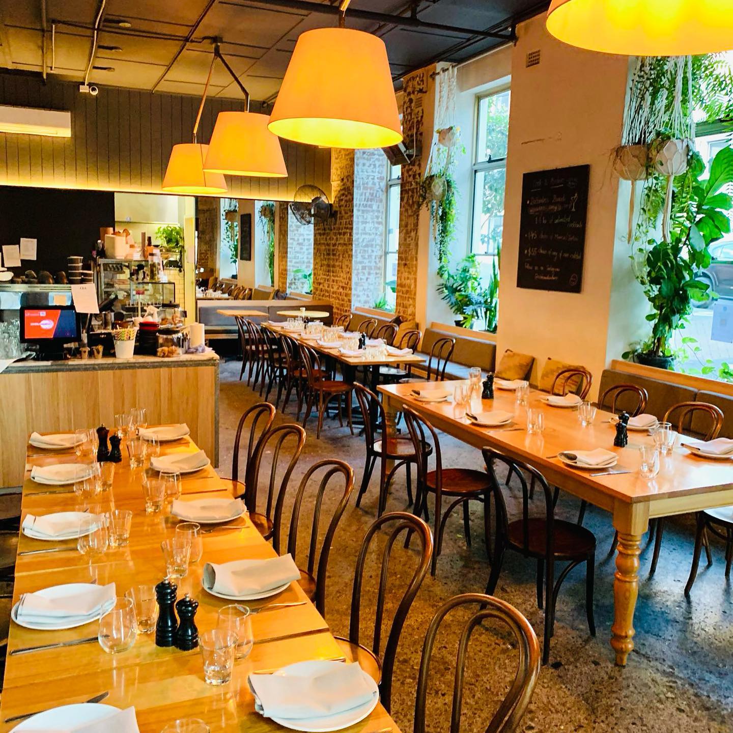 Cook & Archies