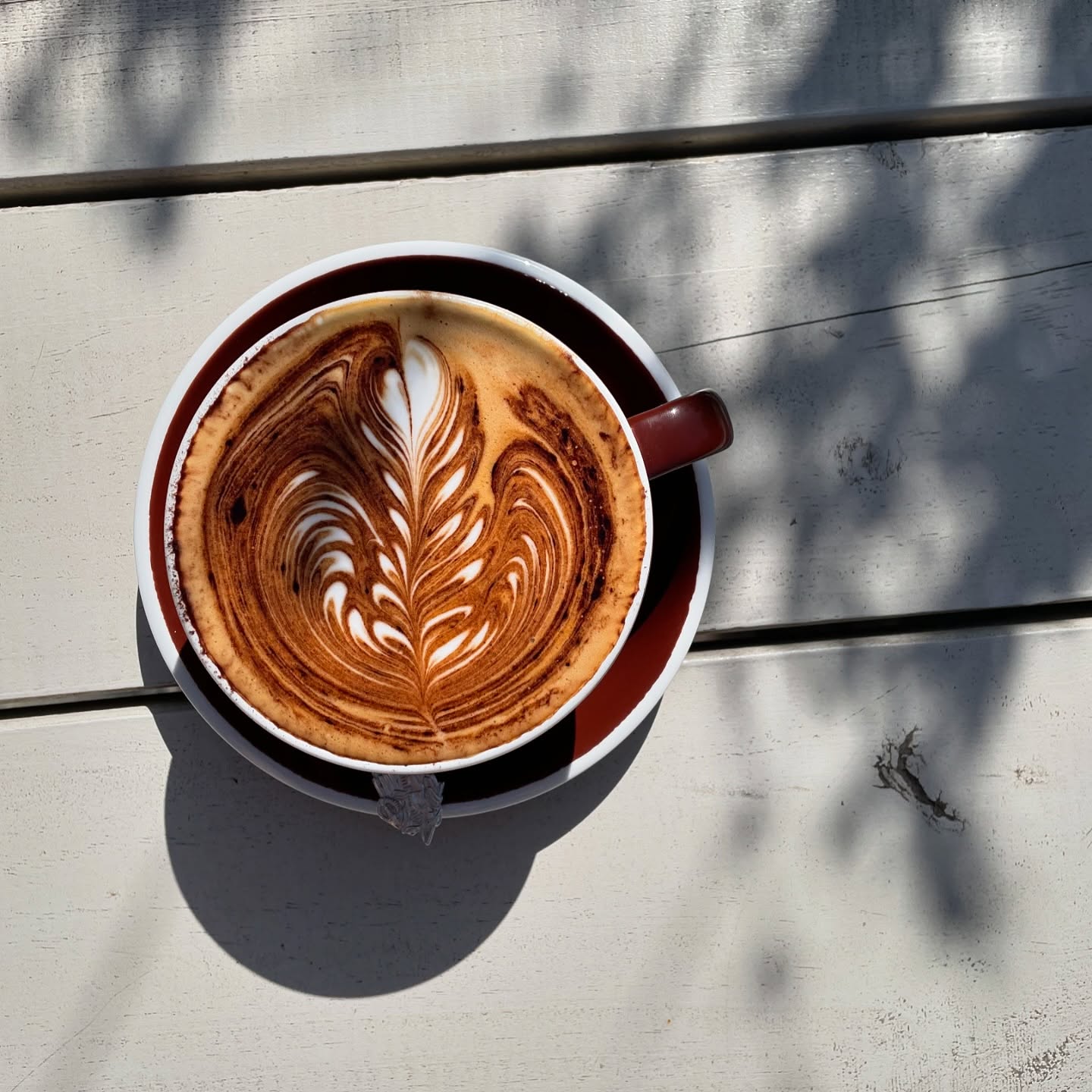 De Groot Coffee Co