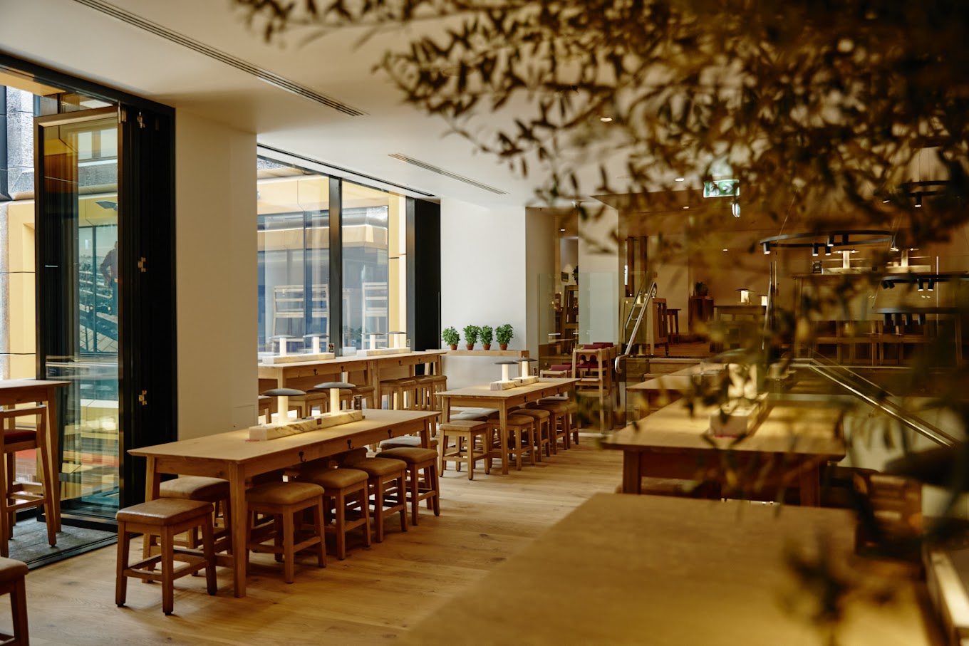 Vapiano Albert Lane