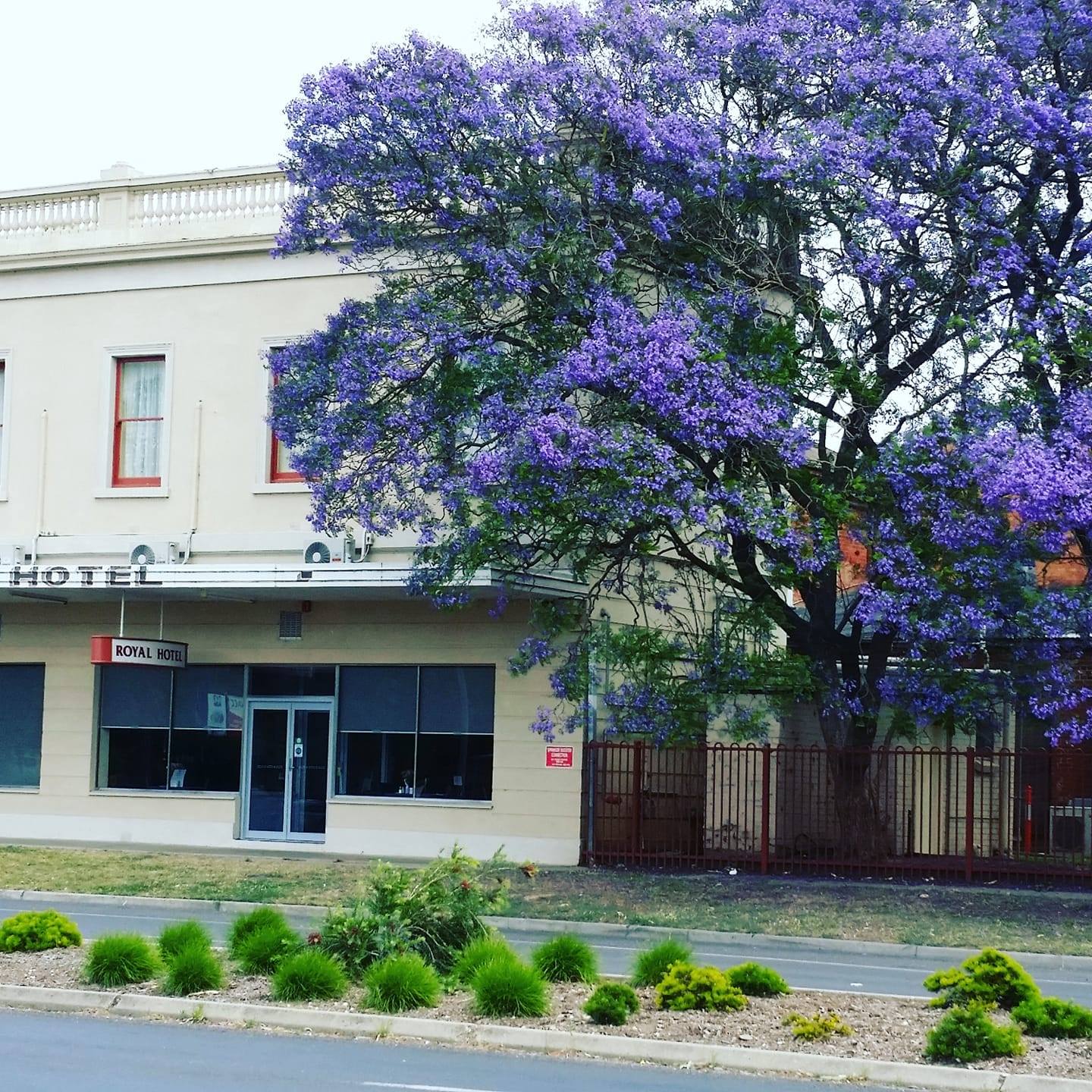 The Royal Hotel