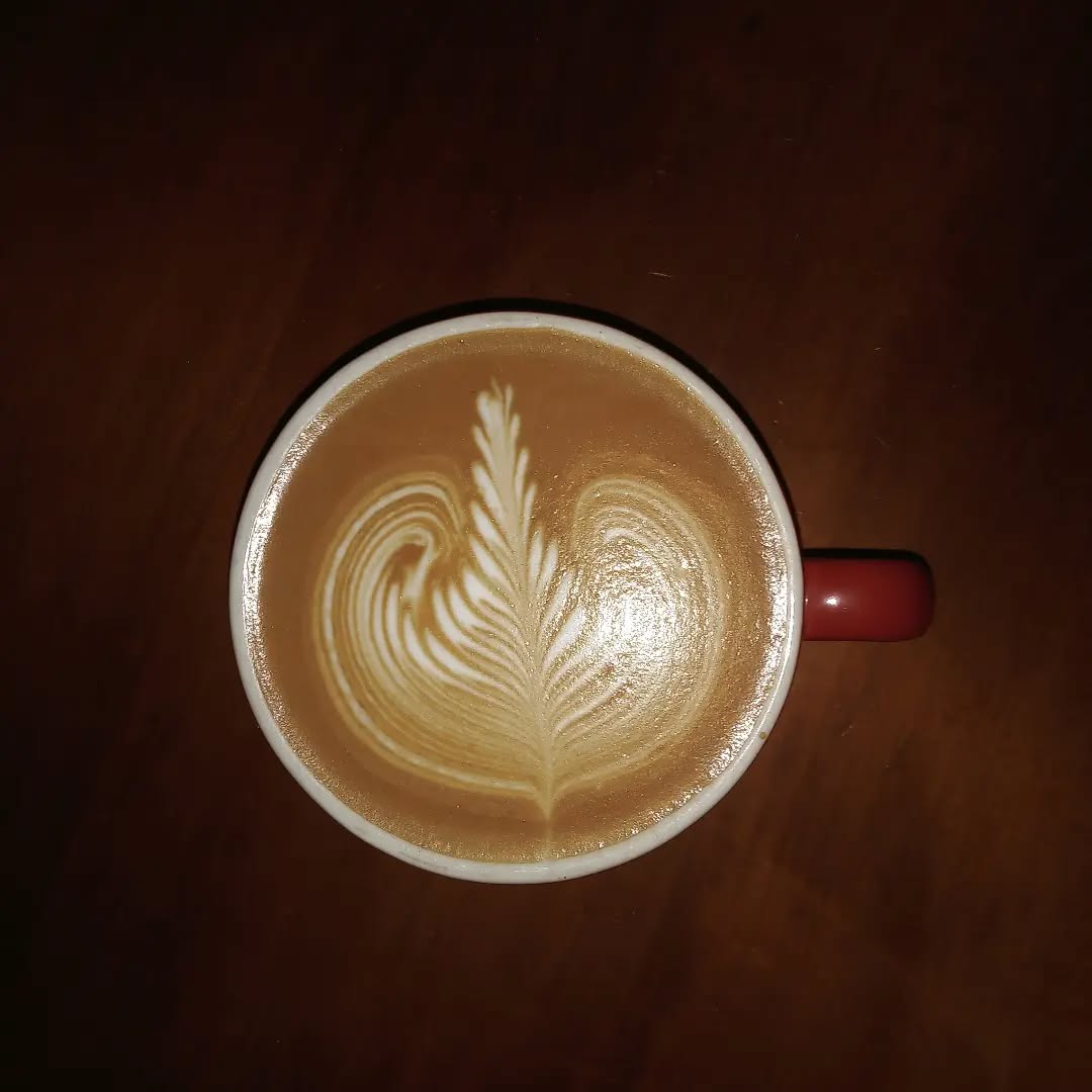The Mare Coffee Co.
