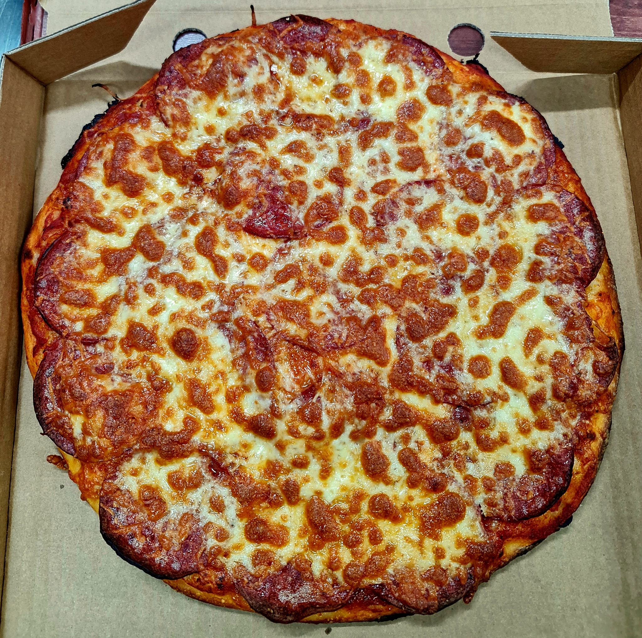 Ricciolini's Pizza Pasta house