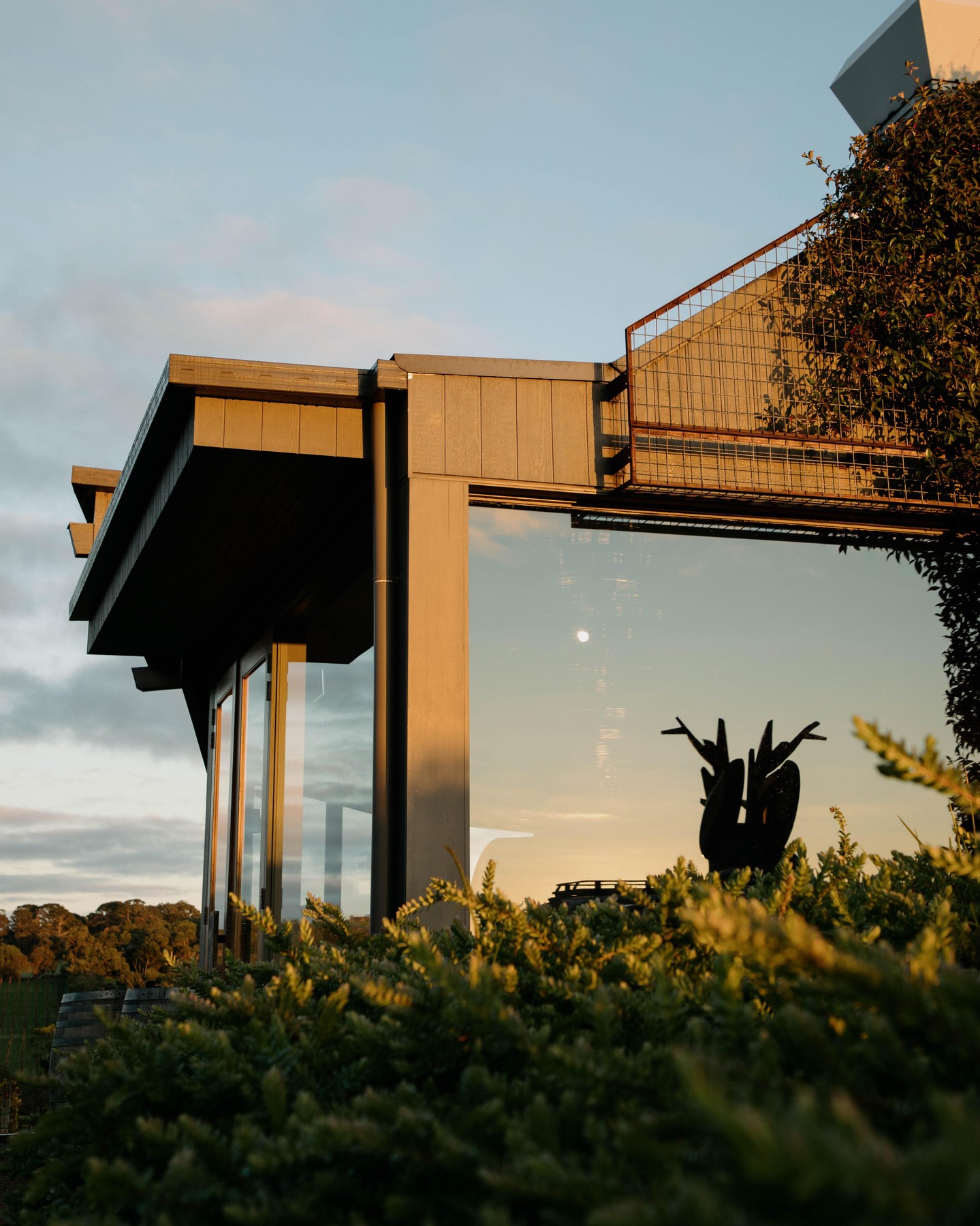 Rare Hare Wine & Food Store