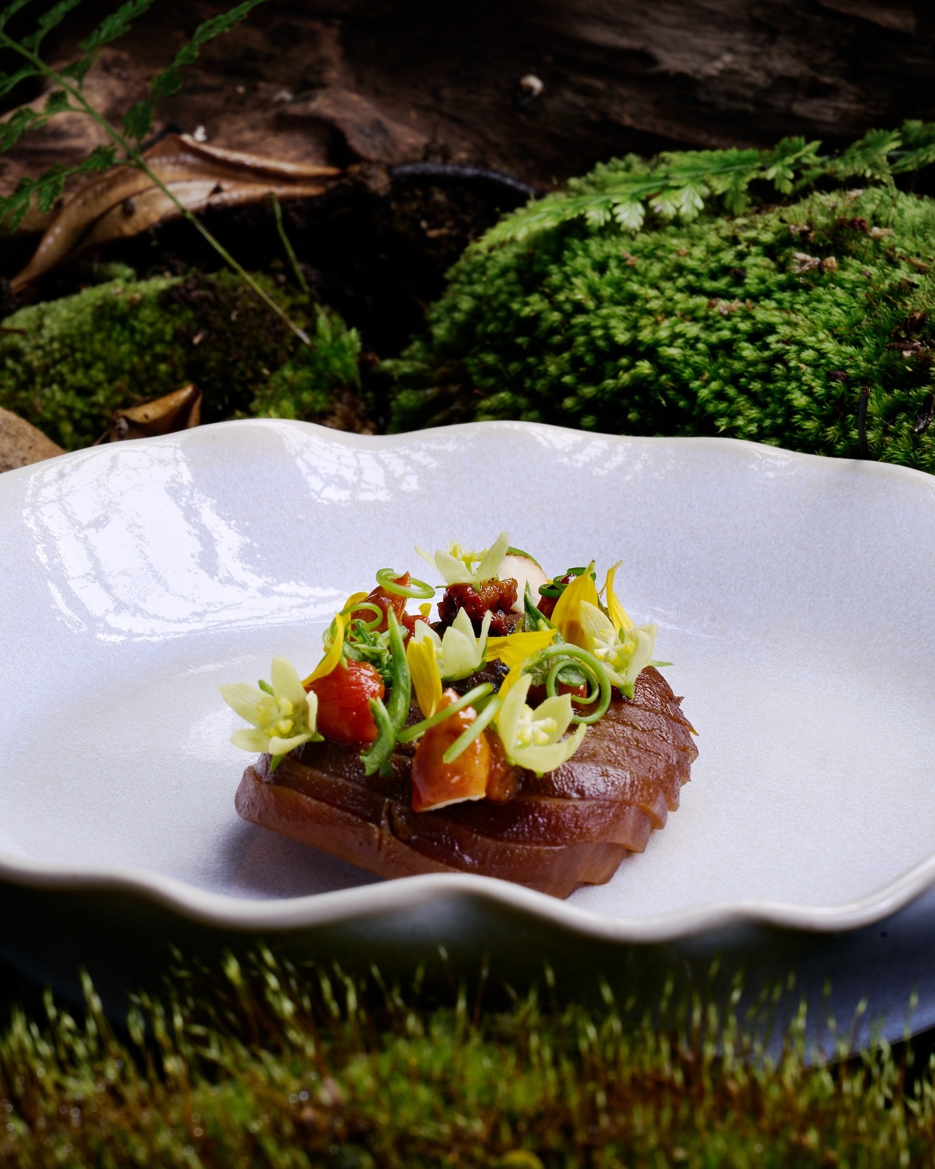 Herbivore by Locavore