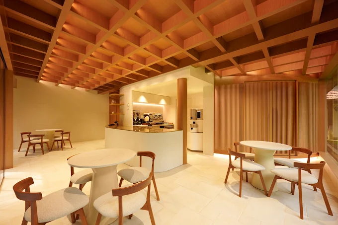 Singapore's Most Recommended Coffee Spots