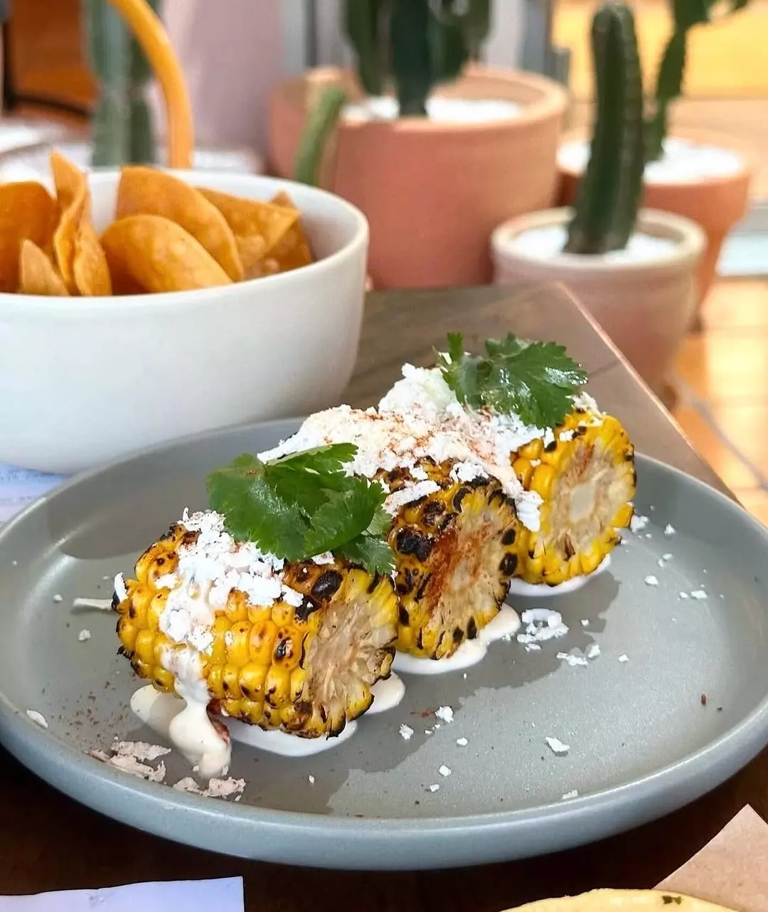La Bodega Taqueria - East Brisbane