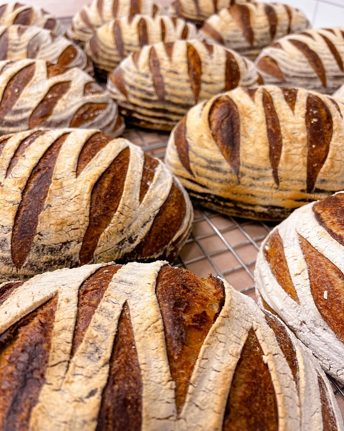 Baker D.Chirico Brisbane