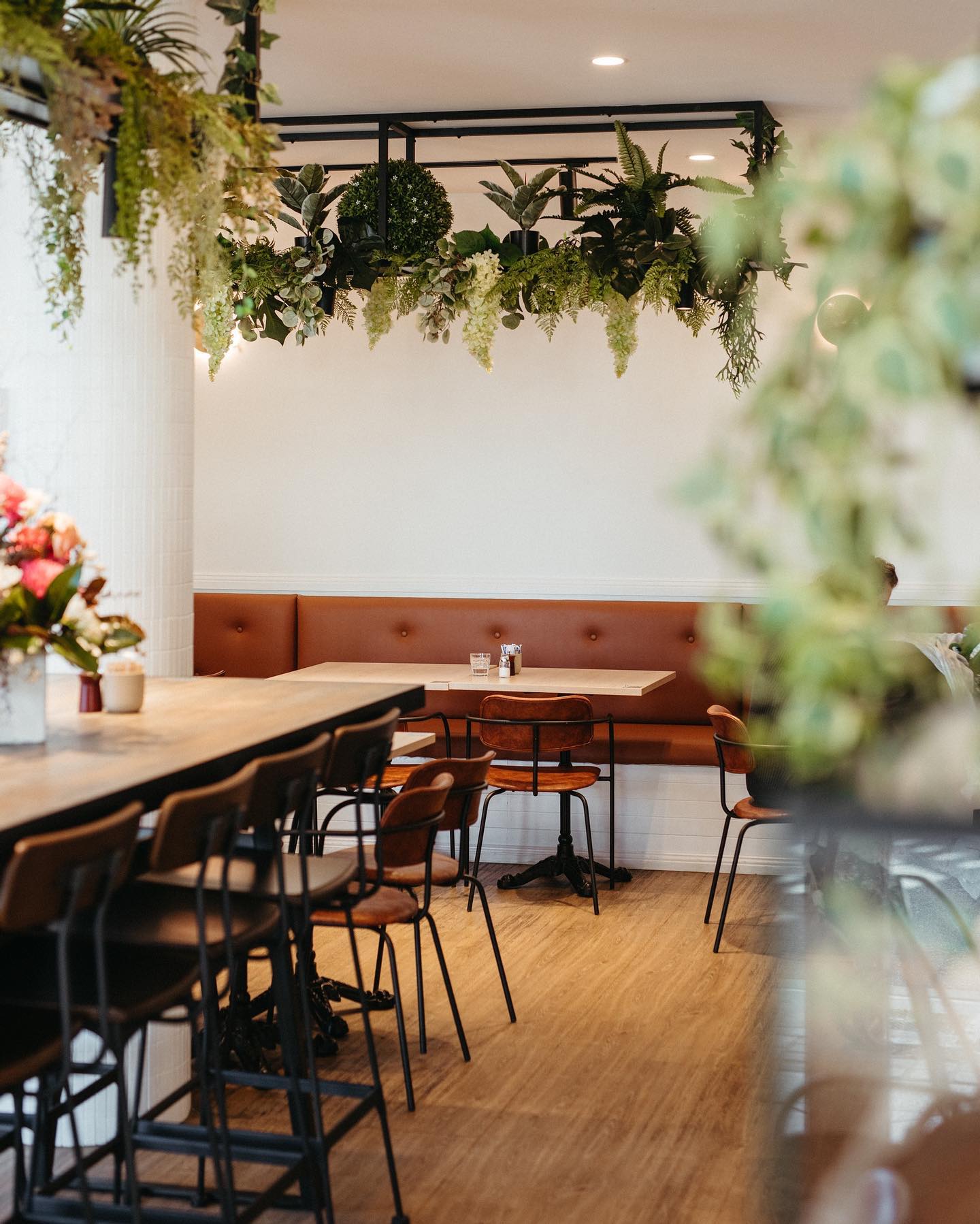 Deluca Coffee