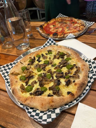 Hop Nation Brewing Co.