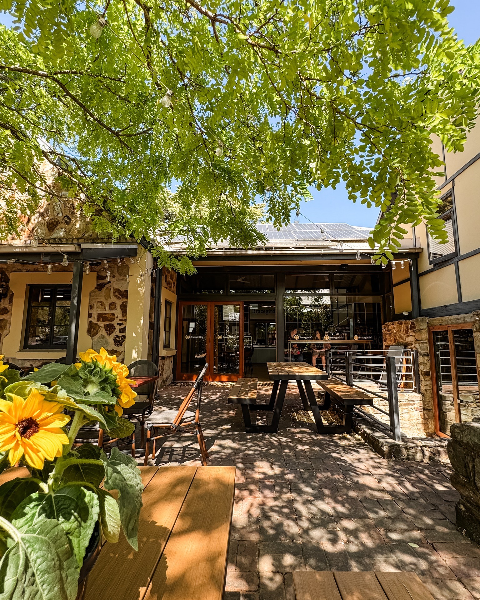 Bracegirdle's Hahndorf