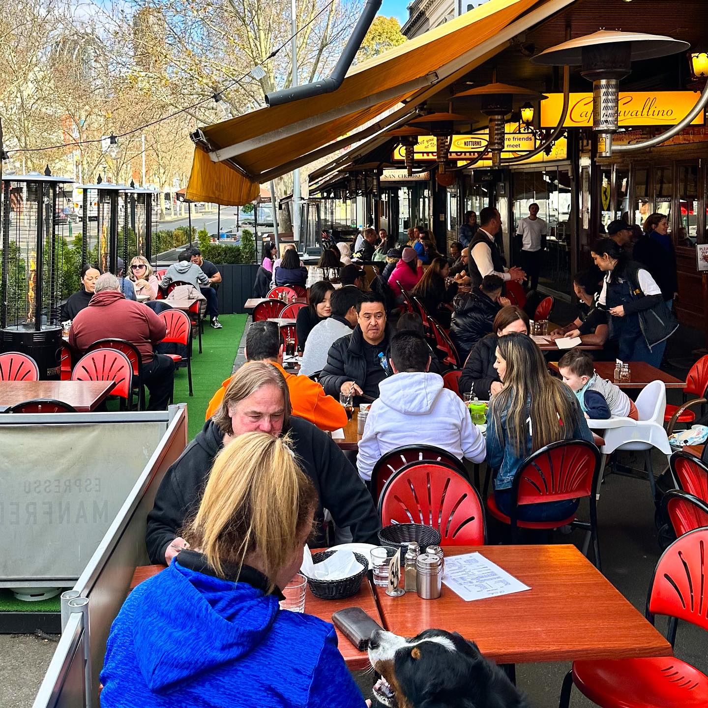 Cafe Cavallino