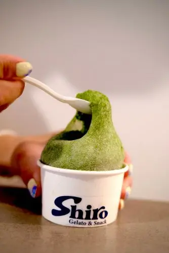 Shiro Gelato & Snack @Southport, Gold Coast