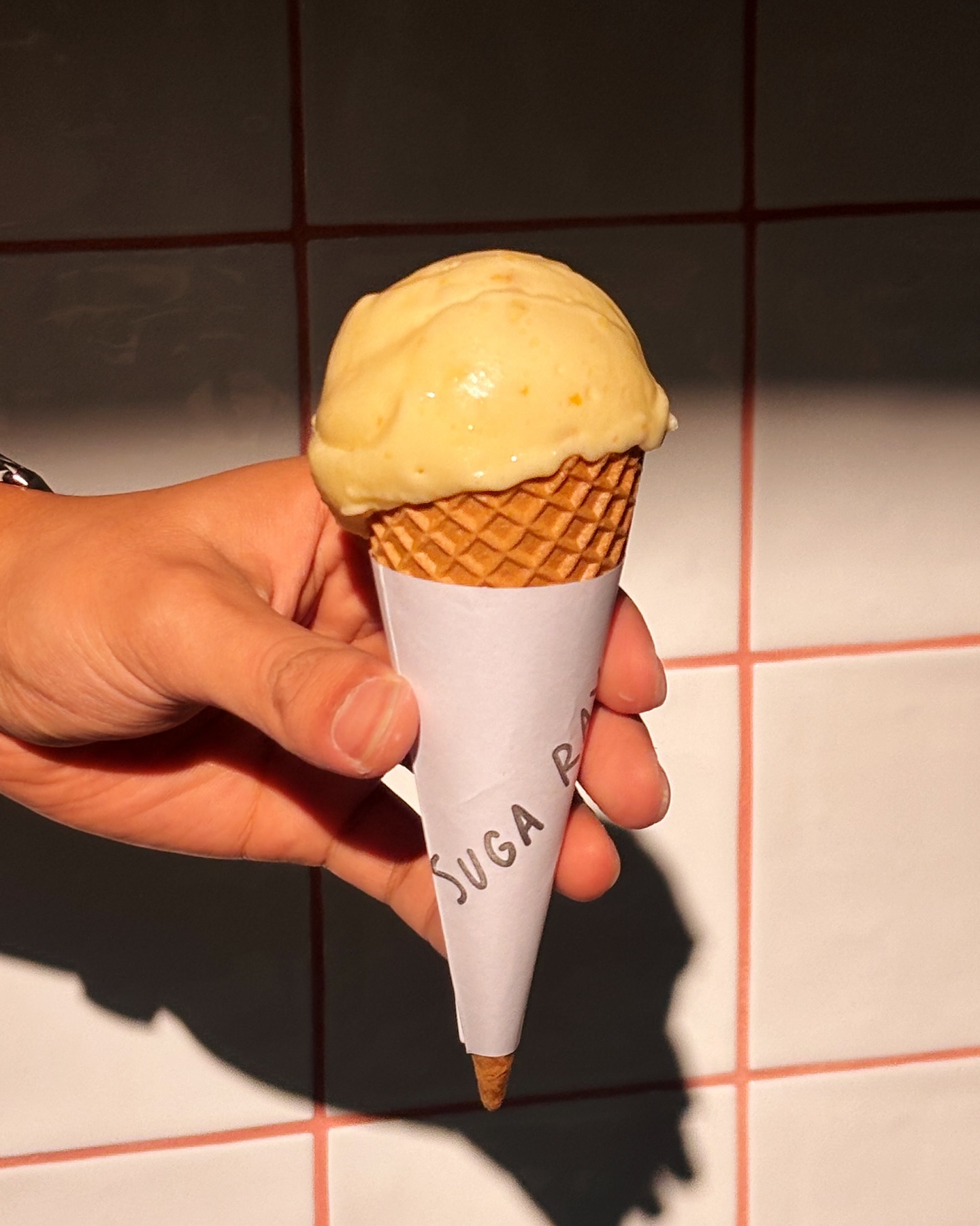 Sugarays Plant-Based Gelato