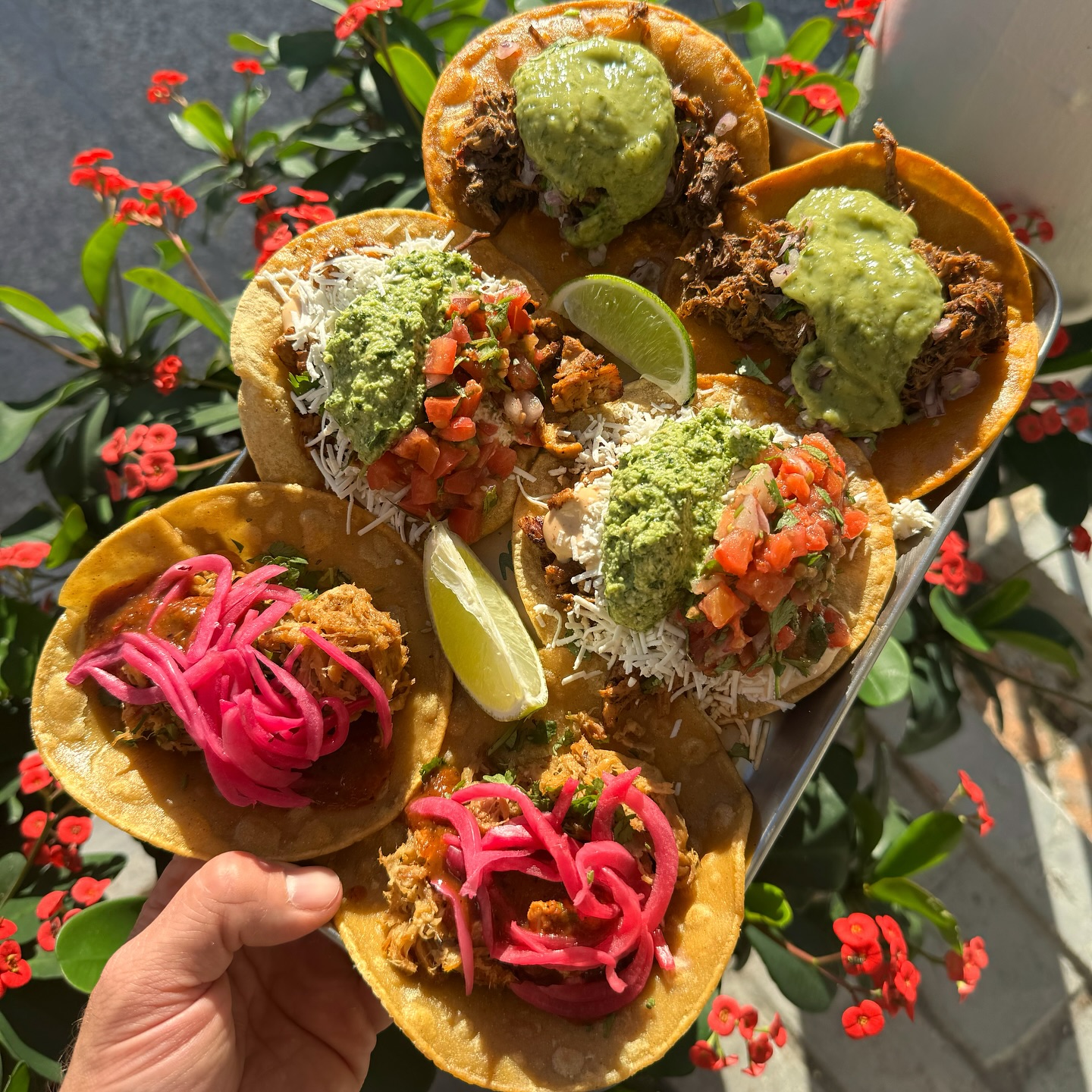 Costa Taco Palm Beach