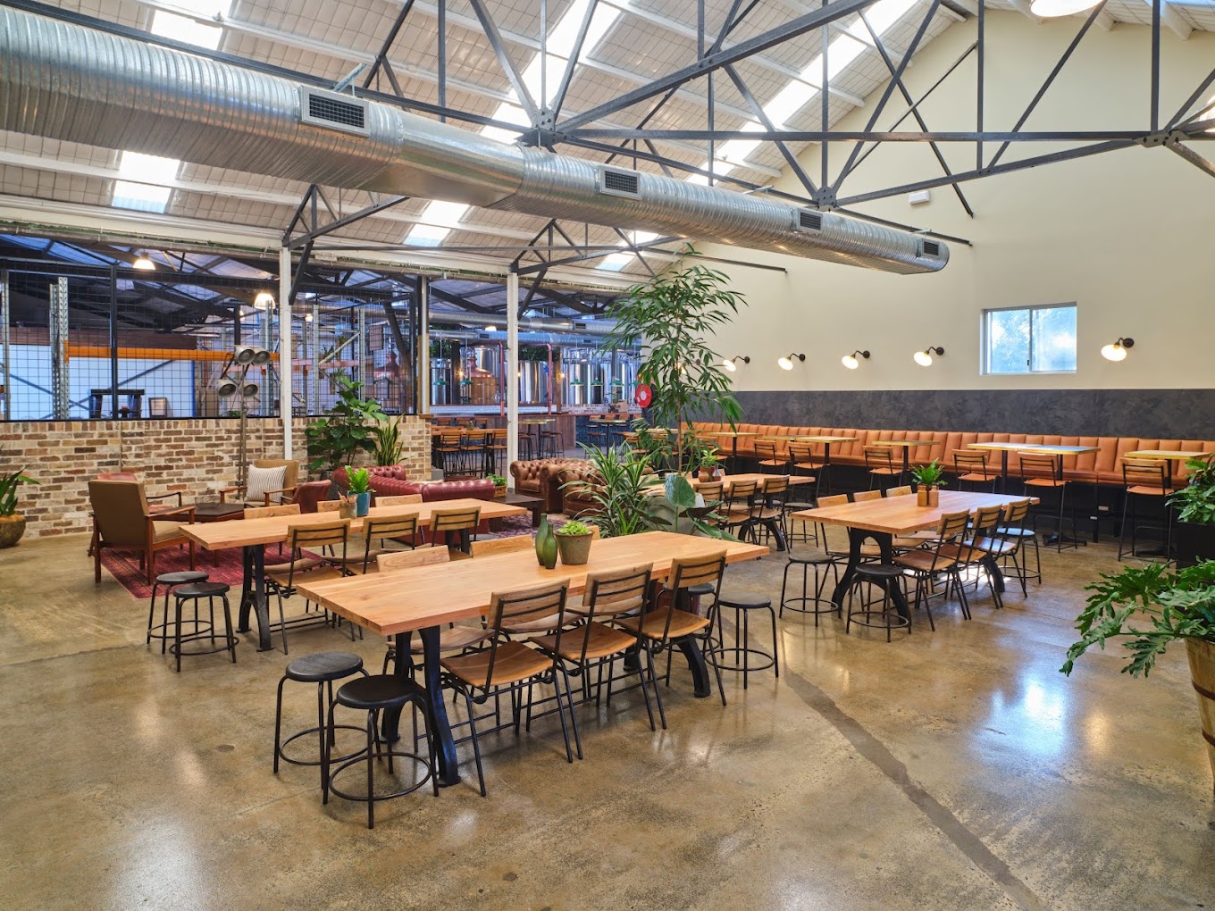 Chuck and Son's Brewing Co.