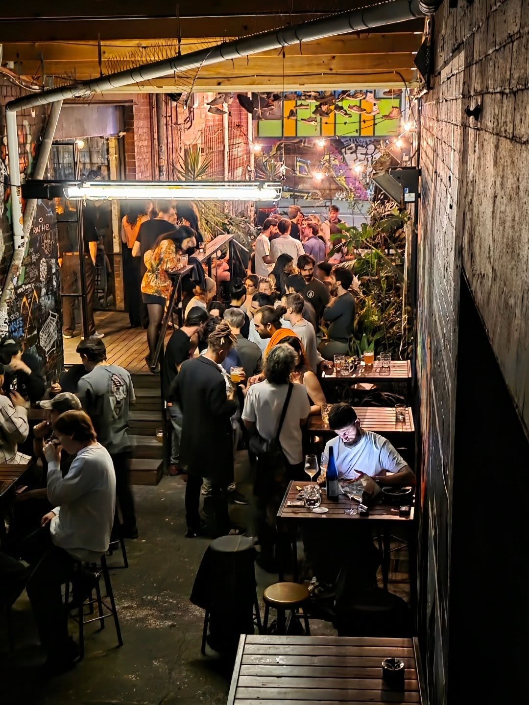 Paradise Alley
