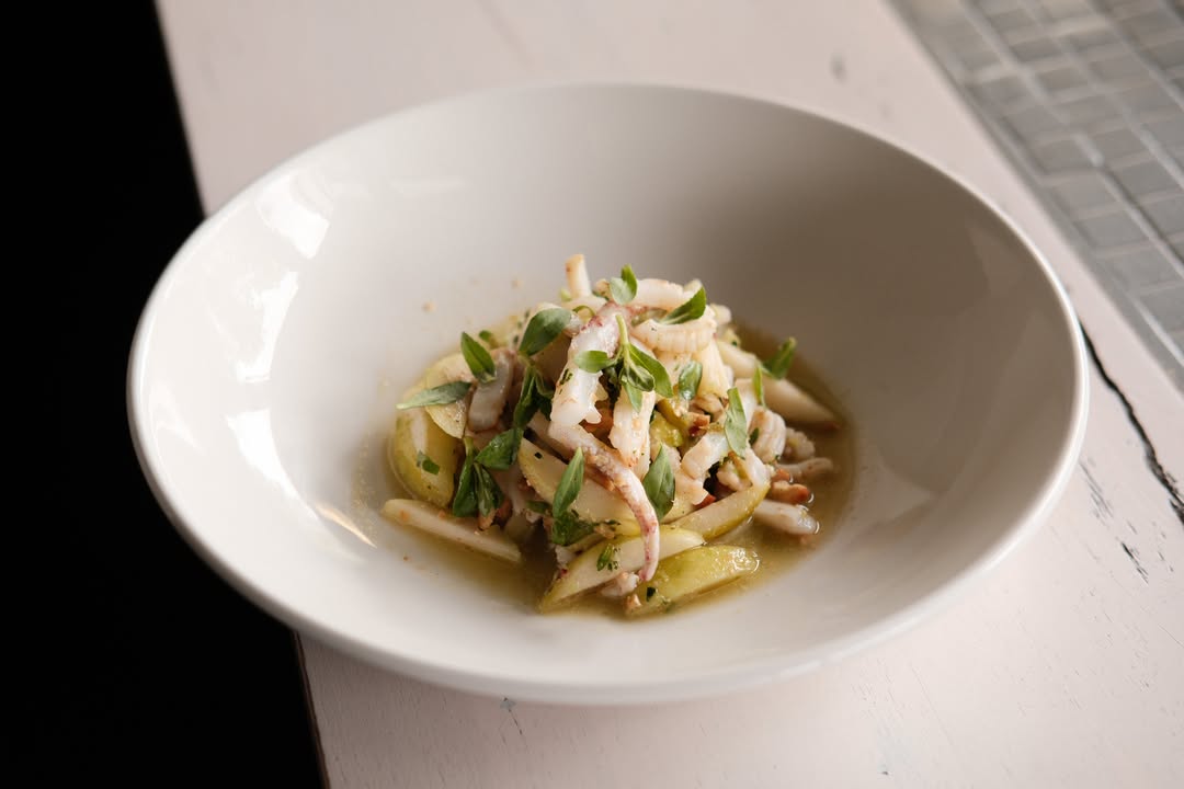Anchovy