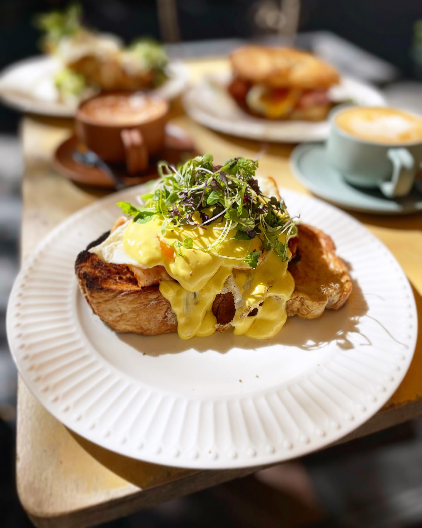 Penny University Cafe