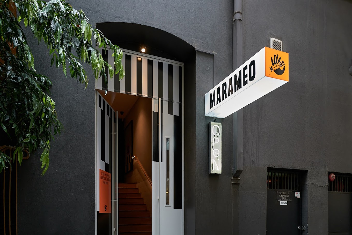 Marameo