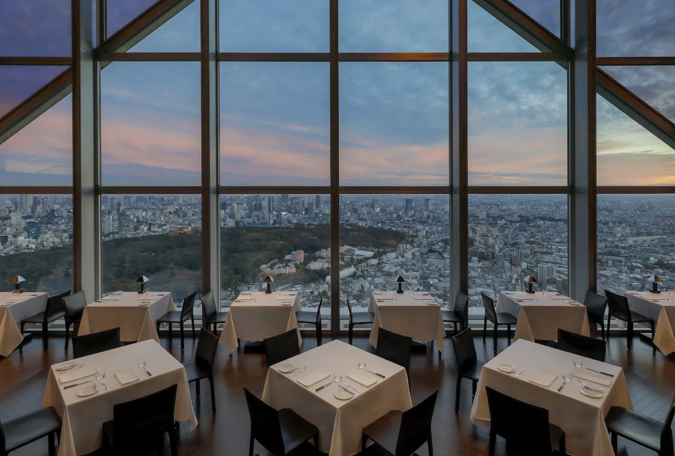 Amara Sedge's Best of Tokyo