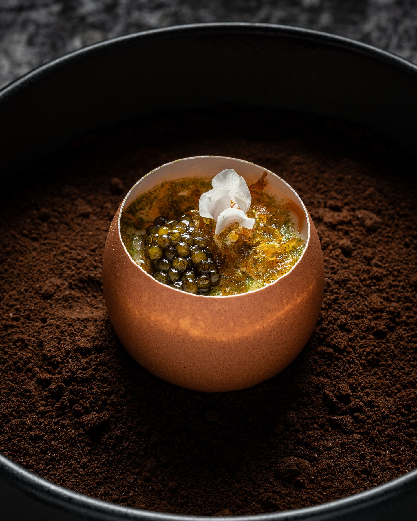 80/20 Eighty Twenty